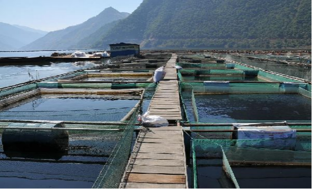 水产养殖学专业校外实践教学基地——攀枝花二滩水库